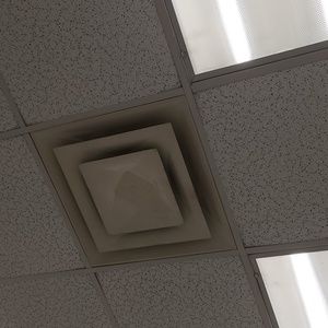 Meet your Posher, Todd